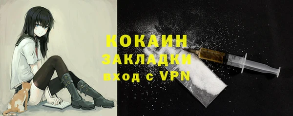 стаф Белокуриха