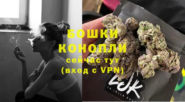 стаф Белокуриха