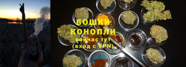 стафф Беломорск